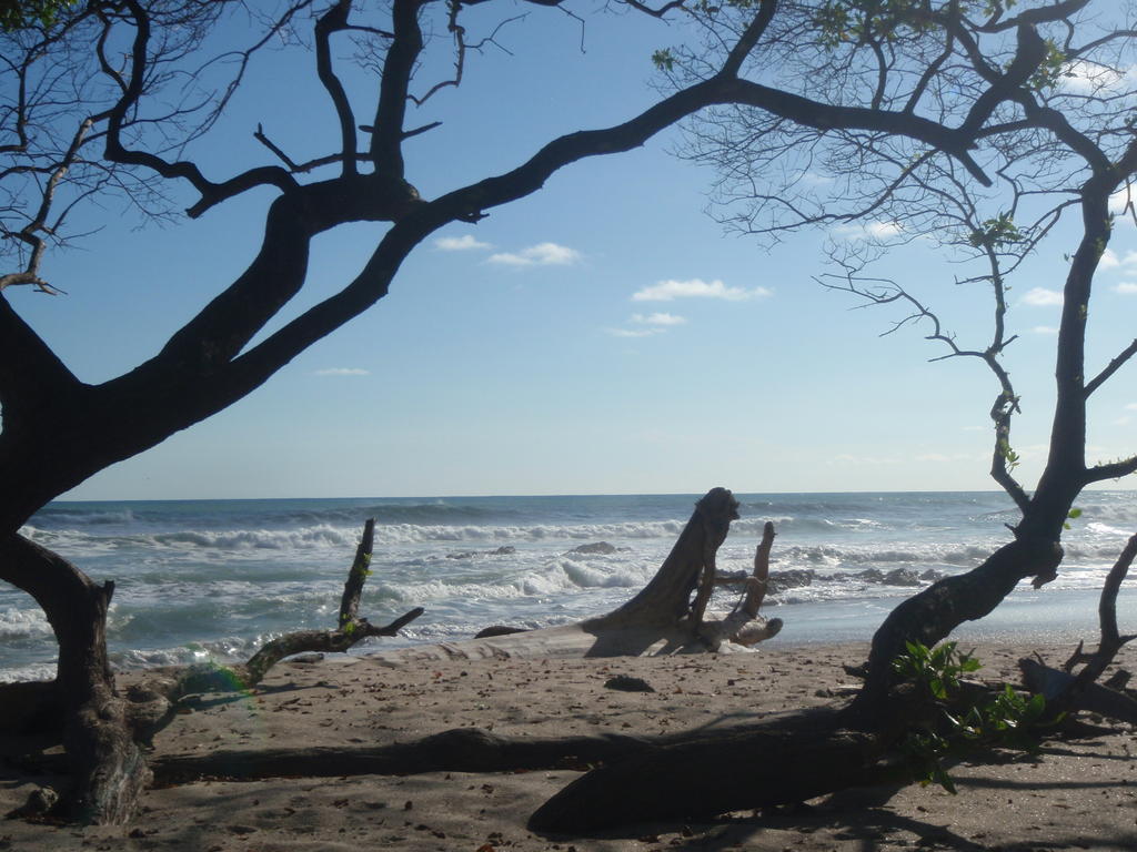 Pachamama Tropical Garden Lodge Мал Паис Екстериор снимка