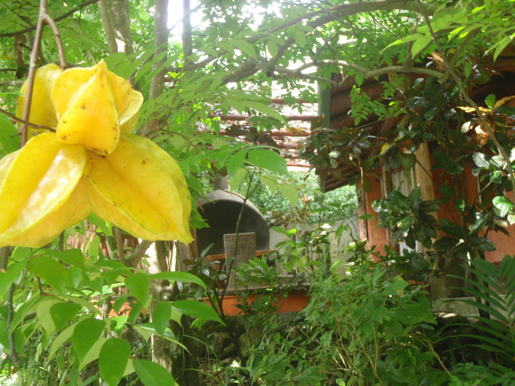 Pachamama Tropical Garden Lodge Мал Паис Екстериор снимка