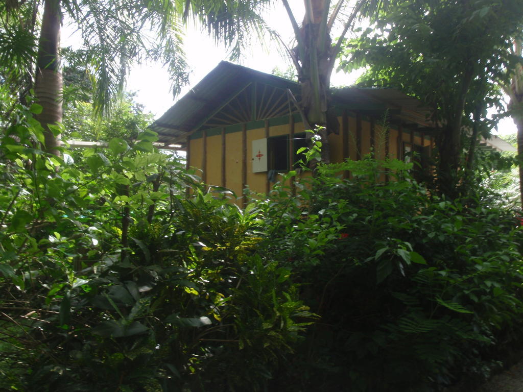 Pachamama Tropical Garden Lodge Мал Паис Стая снимка