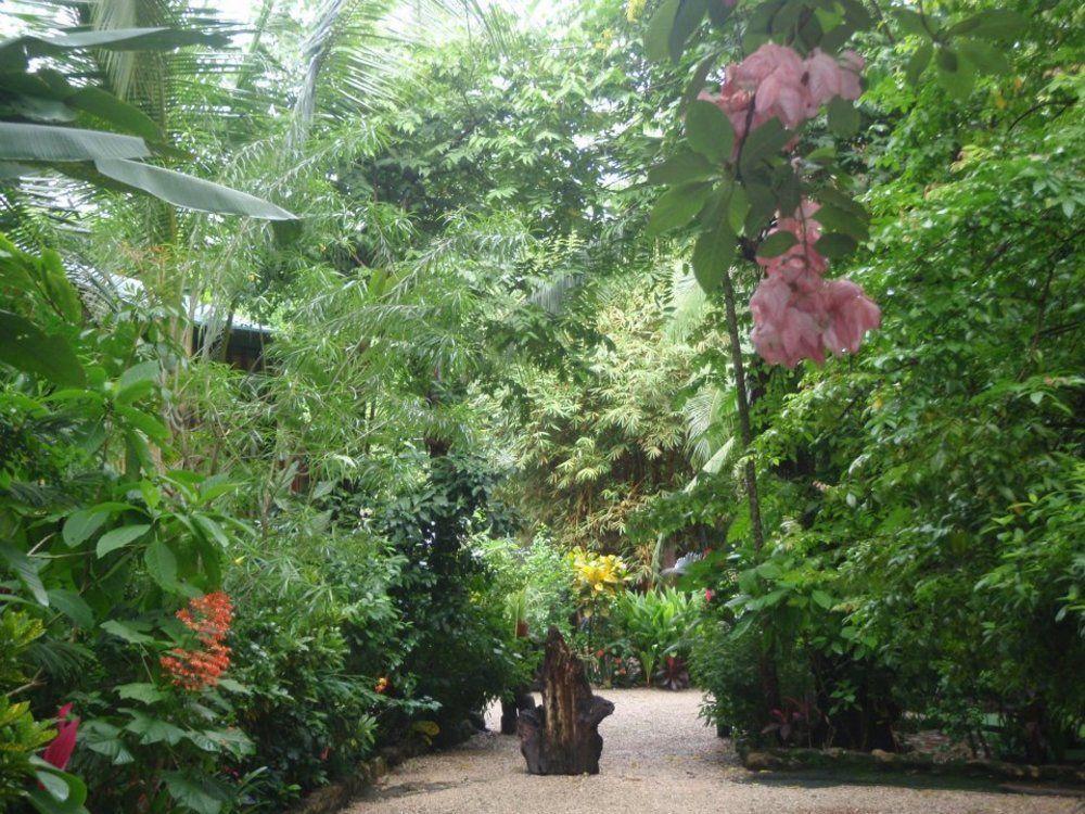 Pachamama Tropical Garden Lodge Мал Паис Екстериор снимка